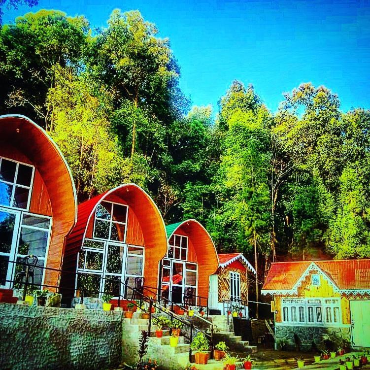 New Bloom Homestay Kurseong Exterior foto