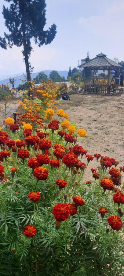 New Bloom Homestay Kurseong Exterior foto