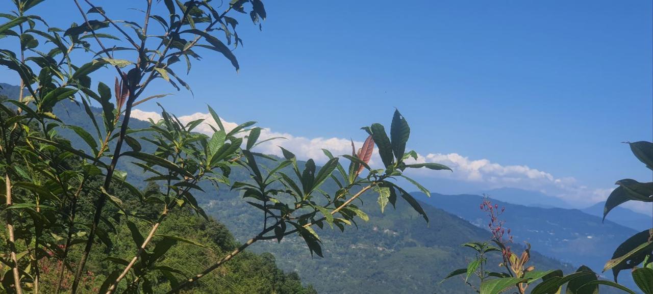New Bloom Homestay Kurseong Exterior foto